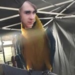 jimmy hendricks - Instagram Profile Picture of jimmy hendricks (@hiwelcometowendys) on Instagram