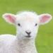 Profile Picture of Oliver Nicholson (@on31669) on Pinterest