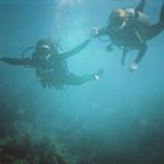 Profile Picture of Rhea Crowther (@rheabobea) on Instagram