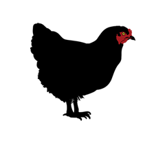 Profile Picture of Steve Cadman (@ChickenFriedWeb) on Twitter