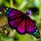 Profile Picture of Joyce Stutts (@joyce.stutts.1) on Facebook