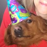 Profile Picture of Chloe Keller (@chloekeller_) on Instagram