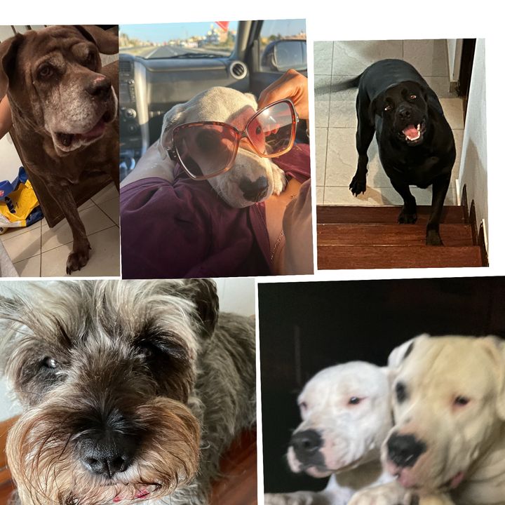 Mikeee - Tiktok Profile Picture of Mikeee (@mike.cg4) on Tiktok