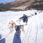 Profile Picture of Albert Castellón (@albert_castellon) on Instagram