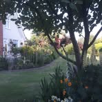 Profile Picture of Martin Halliday (@Martin-Halliday) on Facebook