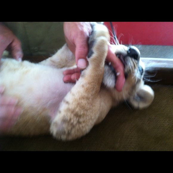 Profile Picture of Josh Kemp (@jjoshhh) on Poshmark