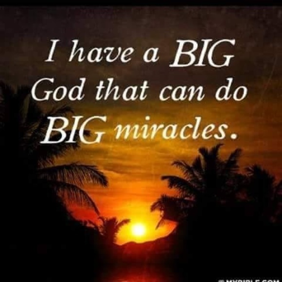 Profile Picture of Zico Zico (@zicozico) on Poshmark