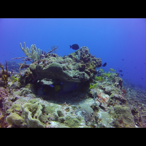 Profile Picture of Brooklyn Behenna (@brooklynbehe) on Poshmark