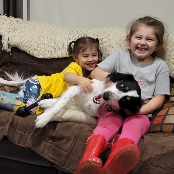 Profile Picture of Sheryl Huggins hoffman (@sherylhoffman67) on Poshmark