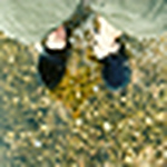 Profile Picture of Jesse Brenner (@Jesse Brenner) on Flickr
