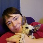 Profile Picture of Lisa Hepburn (@niri51) on Instagram