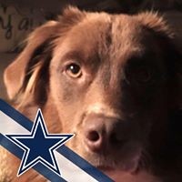 Profile Picture of Aaron Wimberley (@aaron-wimberley-2) on Quora