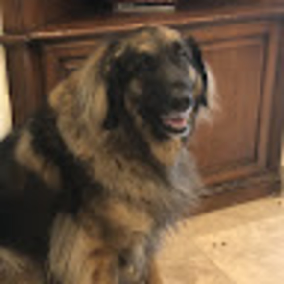 Profile Picture of Jessi Itkin (@jessi_ii) on Poshmark