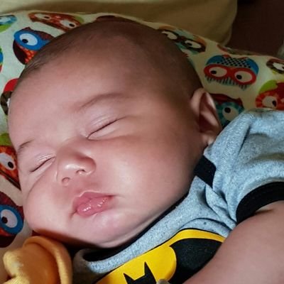 Profile Picture of Michael Hollands (@BayshorePhuket) on Twitter