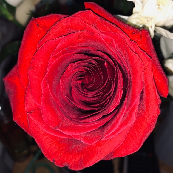 Profile Picture of Trish Flippen (@trish7891) on Poshmark