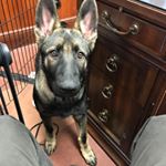 Profile Picture of Hoby (@hobyferrell) on Instagram