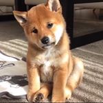 Profile Picture of 김종선 (@i_dare_y0u_) on Instagram