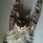 Profile Picture of Brian Pettitt (@bpettitt67) on Instagram