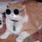 Profile Picture of Julia (@jzmilewski) on Instagram