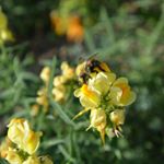 CAINION - Instagram Profile Picture of CAINION (@cainion27rsvhe) on Instagram