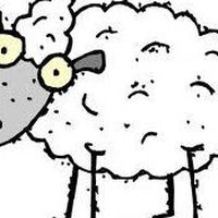 Profile Picture of Dawn Dolinski (@dawn-dolinski-1) on Quora