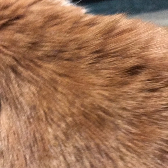 Profile Picture of Joseph Keaneh (@pandamedic) on Poshmark