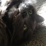 Profile Picture of Eric (@ericarevalo) on Instagram