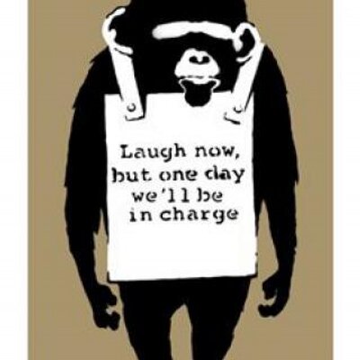 Profile Picture of Omar Bey (@omar_bey) on Twitter