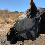 Profile Picture of Lucia Grillo (@LuciaCartaGrill) on Youtube