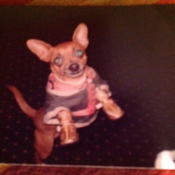 Profile Picture of Pat Miles (@cook4pop) on Poshmark