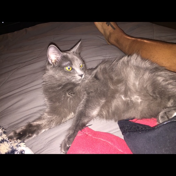 Profile Picture of Brokke Negrette (@negrettebrooke) on Poshmark