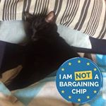 Profile Picture of Cathy Sharkey (@cpisharkey) on Instagram