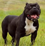 Profile Picture of Scott Nefzger (@Scott-Nefzger) on Facebook