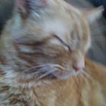 Profile Picture of Sam munninghoff (@sam_munninghoff) on Instagram