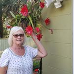 Profile Picture of marilynh.    marilyn huffman (@marilyn.reynolds51) on Instagram