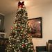 Profile Picture of josh boller (@joshboller) on Pinterest