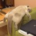 Profile Picture of Alex Pfeiffer (@alex.pfeiffer.902) on Facebook