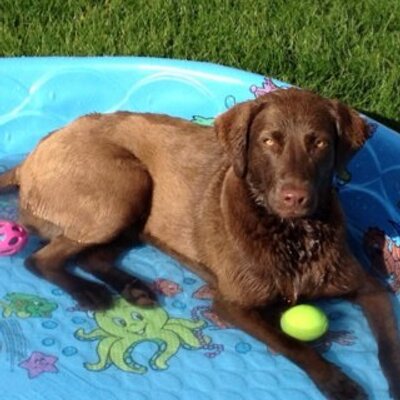 Profile Picture of Ken Jansen (@KenJansen1) on Twitter