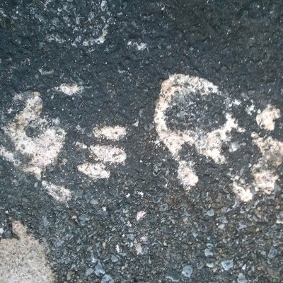 Profile Picture of Chris Bourdeau (@thevtdragonfly) on Twitter