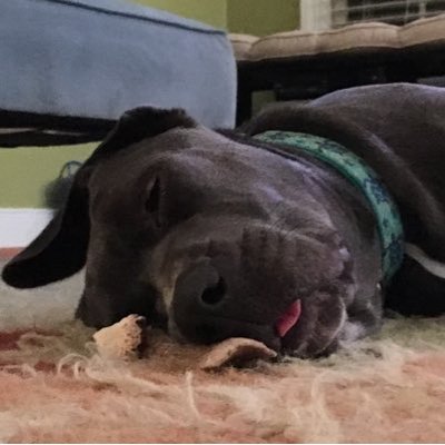 Profile Picture of Joy Wise (@joy_joywise) on Twitter