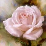 rosalyn - Instagram Profile Picture of rosalyn (@rosalynhunter17) on Instagram