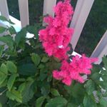 Profile Picture of Julianna Catherine Ivy Ashby🎨📷 (@jynxartandphotography) on Instagram