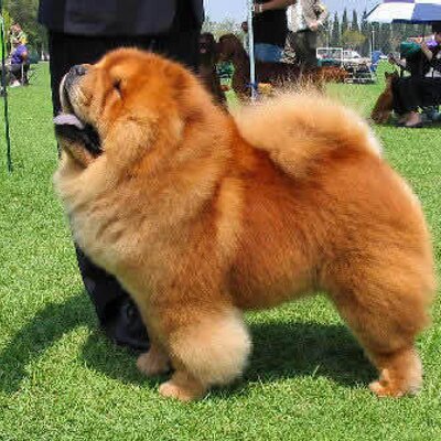 Profile Picture of Jessica Weisman (@jessymessy9) on Twitter