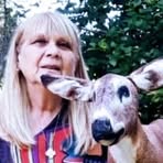 Profile Picture of Graciela Mattioli (@graciela.mattioli.3) on Facebook