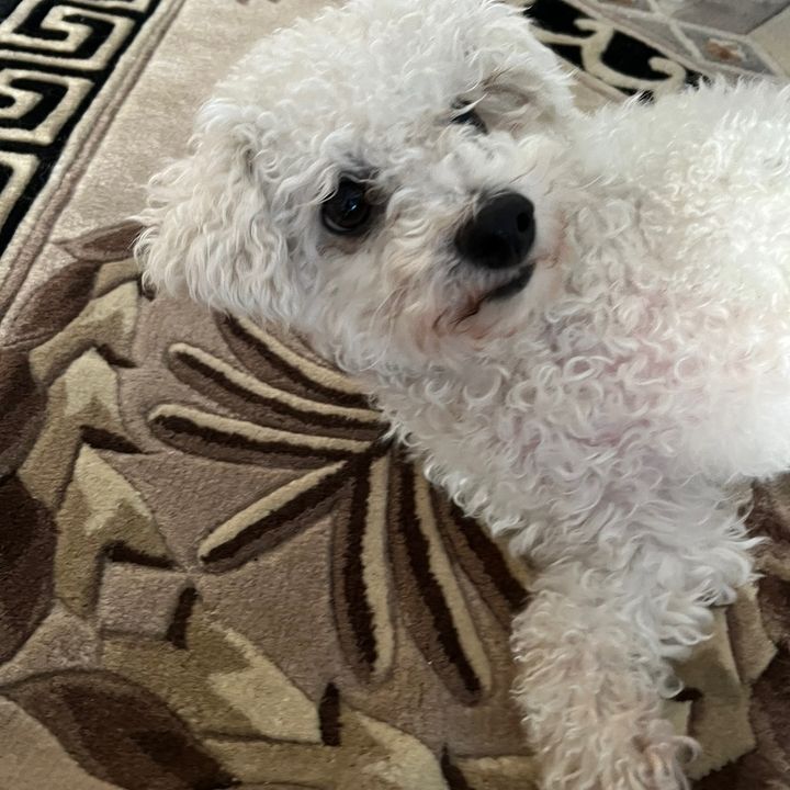 Profile Picture of Sean Ilyayew (@sean.ilyayew) on Tiktok