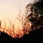 Shaun Lloyd - Instagram Profile Picture of Shaun Lloyd (@shaunlloyd19) on Instagram