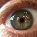 Profile Picture of Peter LaRue (@larue1346) on Pinterest