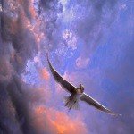 Baker-Gregory - Instagram Profile Picture of Baker-Gregory (@tolley58j) on Instagram