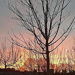 Profile Picture of Joel Escalante rengifo (@joelescalante140165) on Flickr