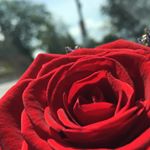 Profile Picture of Ella Kernan Photography (@ellakernanphotos) on Instagram